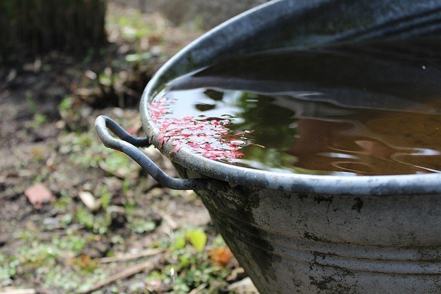 Regenwateropvang in de tuin